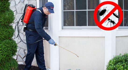 Taşlıçay Böcek İlaçlama böcek ilaçlama ve haşere kontrolü — ilaclama-tr.com